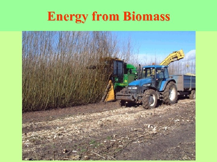 Energy from Biomass 