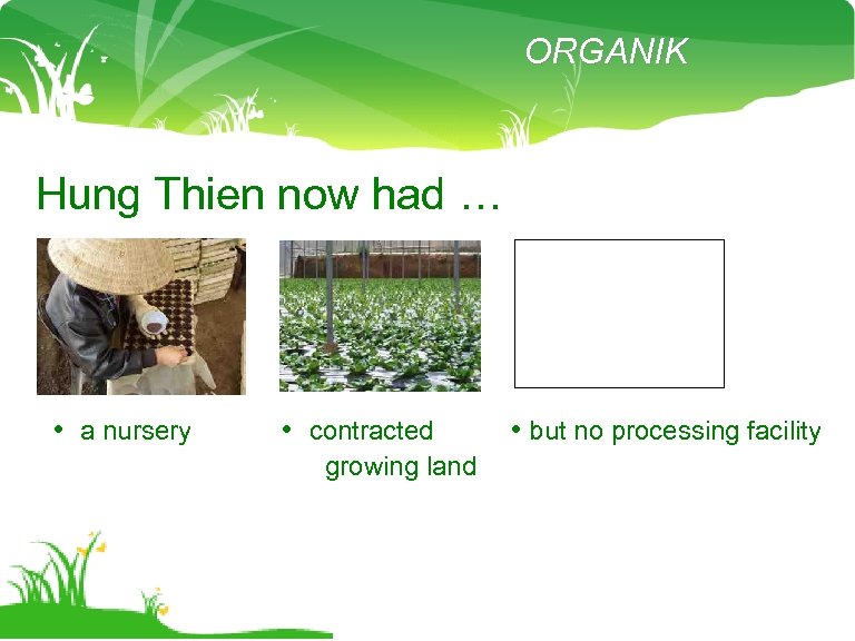 ORGANIK Hung Thien now had … • a nursery • contracted growing land •