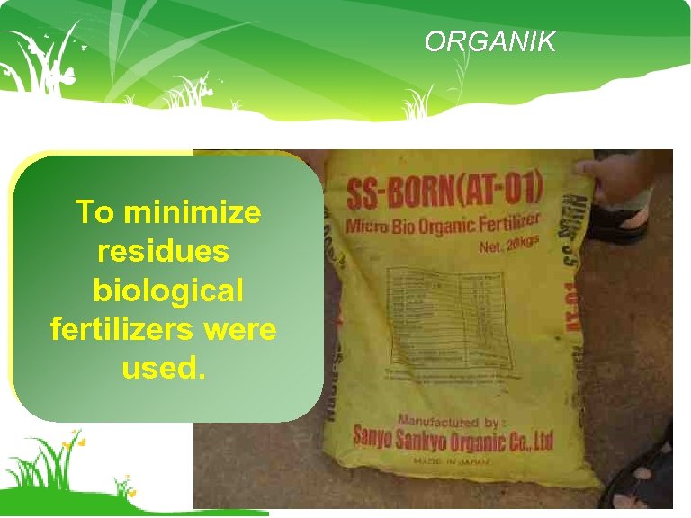 ORGANIK To minimize residues biological fertilizers were used. 