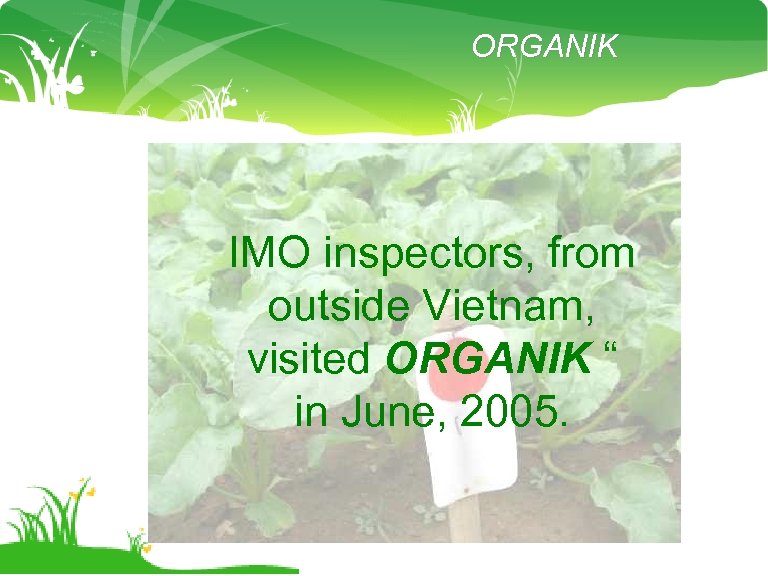 ORGANIK IMO inspectors, from outside Vietnam, visited ORGANIK “ in June, 2005. 