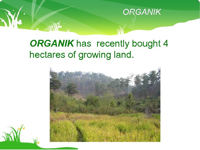 ORGANIK has recently bought 4 hectares of growing land. 