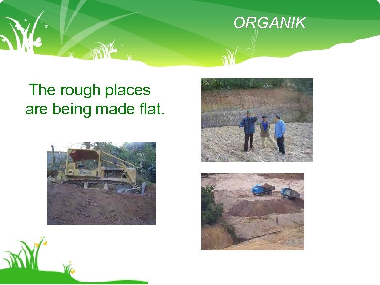 ORGANIK The rough places are being made flat. 