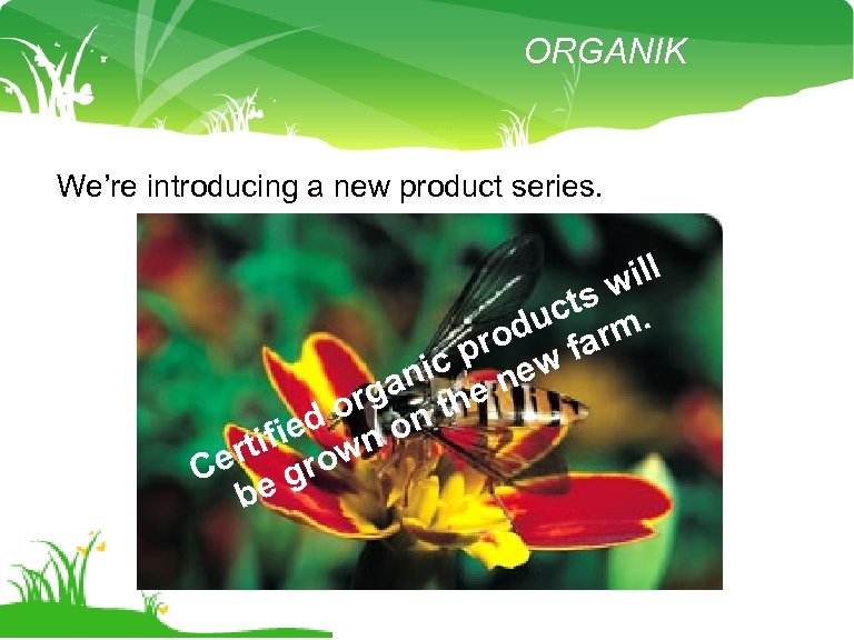 ORGANIK We’re introducing a new product series. ill sw ct du arm. pro w