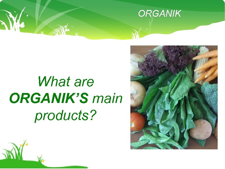ORGANIK What are ORGANIK’S main products? 