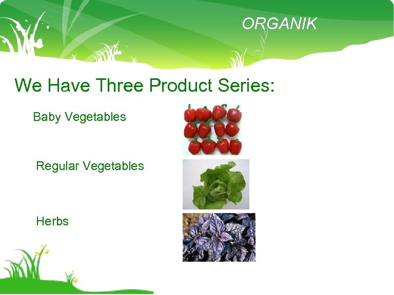 ORGANIK We Have Three Product Series: Baby Vegetables Regular Vegetables Herbs 