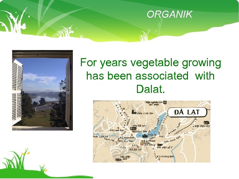 ORGANIK For years vegetable growing has been associated with Dalat. 