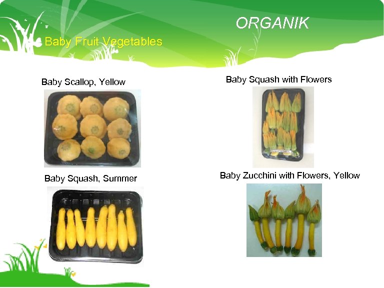 ORGANIK Baby Fruit Vegetables Baby Scallop, Yellow Baby Squash, Summer Baby Squash with Flowers