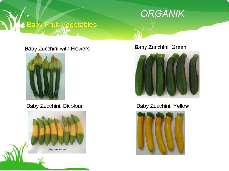 ORGANIK Baby Fruit Vegetables Baby Zucchini with Flowers Baby Zucchini, Bicolour Baby Zucchini, Green