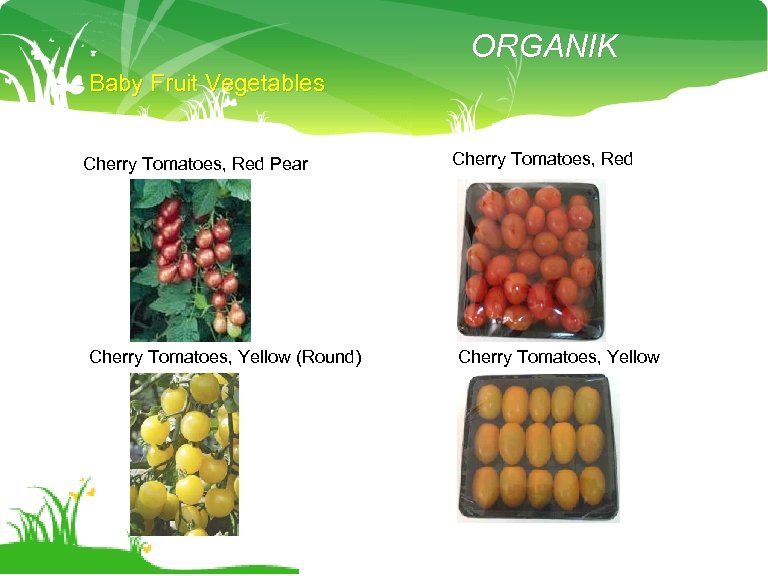 ORGANIK Baby Fruit Vegetables Cherry Tomatoes, Red Pear Cherry Tomatoes, Yellow (Round) Cherry Tomatoes,