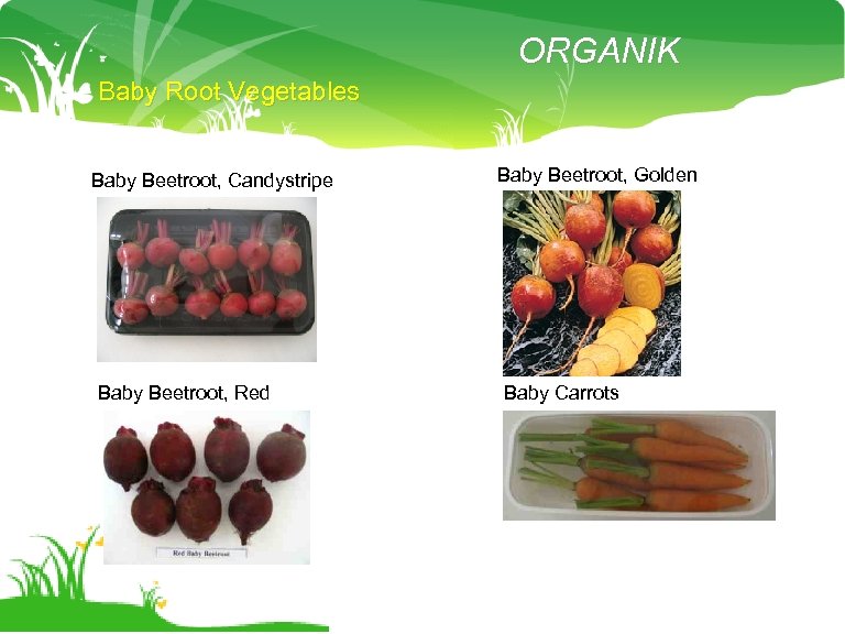 ORGANIK Baby Root Vegetables Baby Beetroot, Candystripe Baby Beetroot, Red Baby Beetroot, Golden Baby