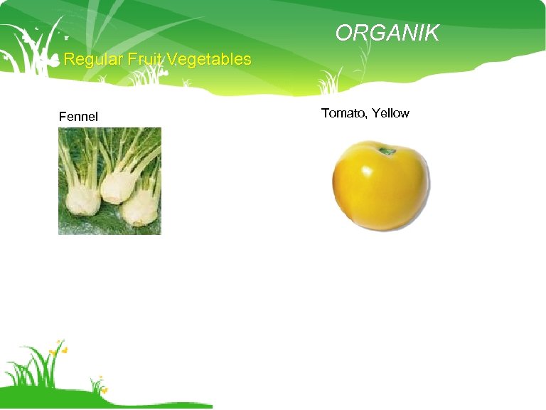 ORGANIK Regular Fruit Vegetables Fennel Tomato, Yellow 