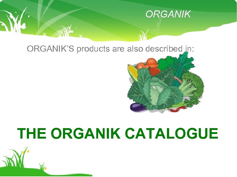 ORGANIK’S products are also described in: THE ORGANIK CATALOGUE 