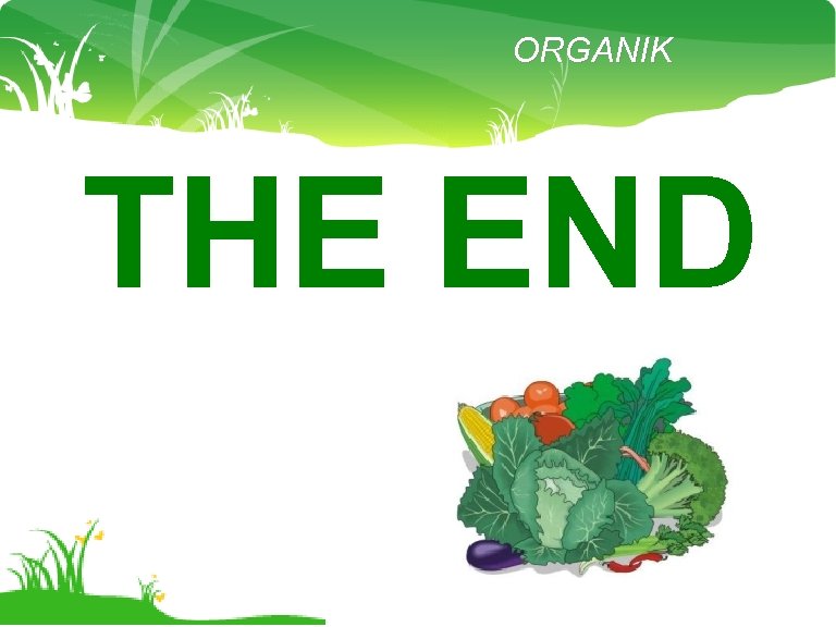 ORGANIK THE END 