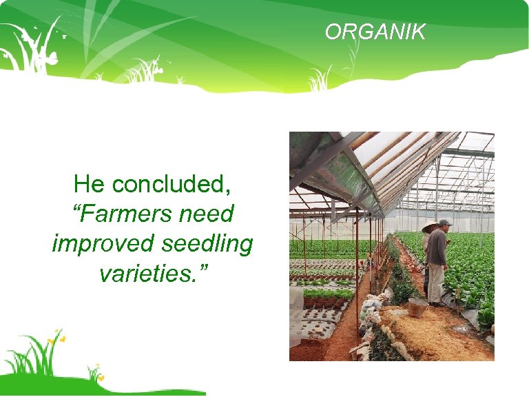 ORGANIK He concluded, “Farmers need improved seedling varieties. ” 