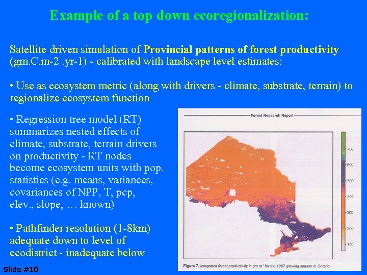 Example of a top down ecoregionalization: Satellite driven simulation of Provincial patterns of forest