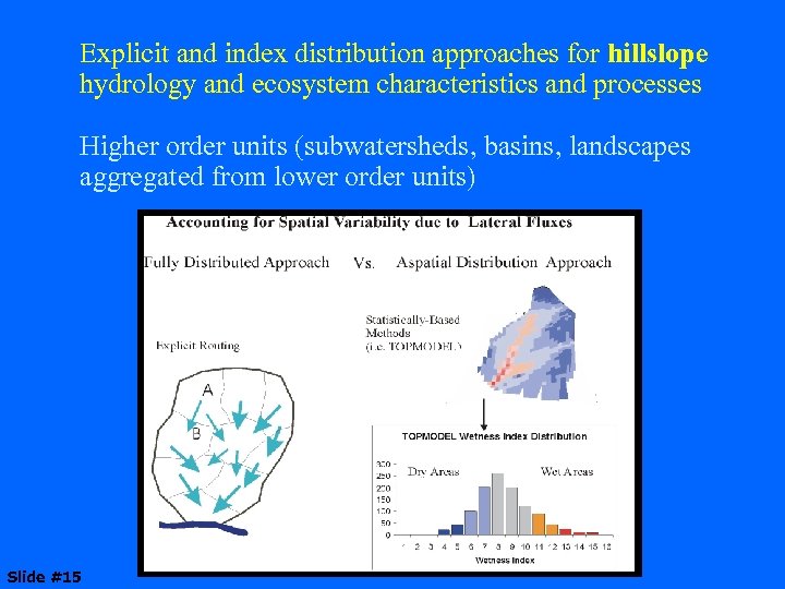 Explicit and index distribution approaches for hillslope hydrology and ecosystem characteristics and processes Higher