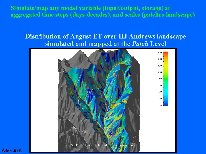 Simulate/map any model variable (input/output, storage) at aggregated time steps (days-decades), and scales (patches-landscape)
