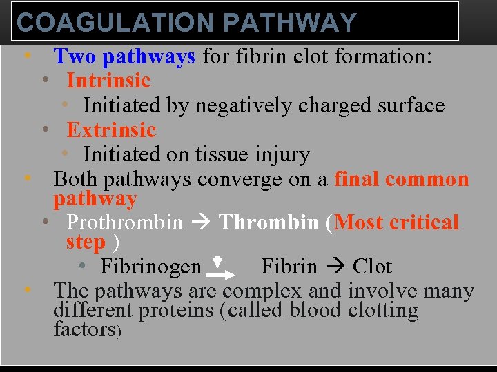 COAGULATION PATHWAY • Two pathways for fibrin clot formation: • Intrinsic • Initiated by