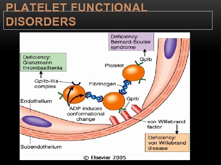 PLATELET FUNCTIONAL DISORDERS 