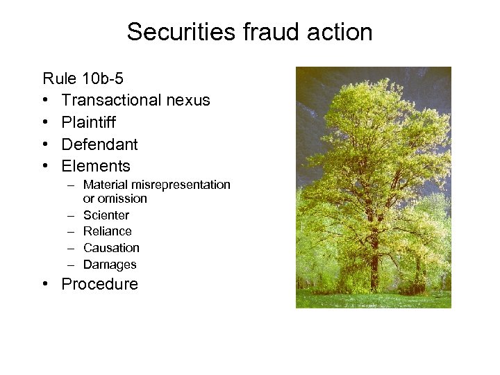 Securities fraud action Rule 10 b-5 • Transactional nexus • Plaintiff • Defendant •
