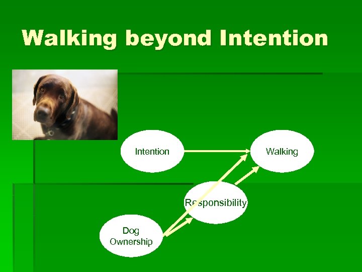 Walking beyond Intention Walking Responsibility Dog Ownership 