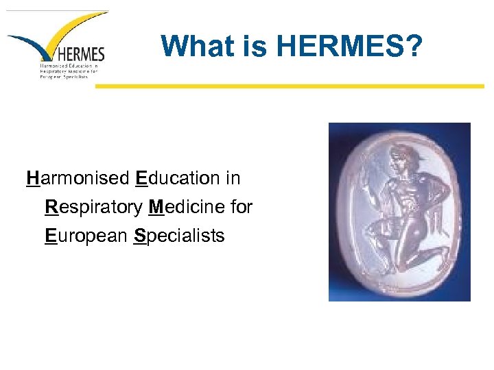 What is HERMES? Harmonised Education in Respiratory Medicine for European Specialists 
