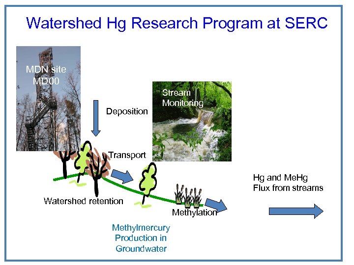 Watershed Hg Research Program at SERC Brandon Shores w/ FGD MDN site MD 00