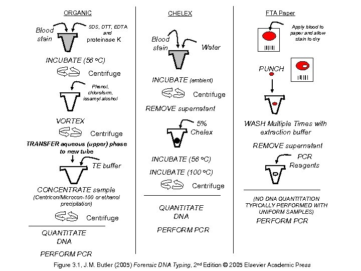 ORGANIC SDS, DTT, EDTA and Blood stain FTA Paper CHELEX proteinase K Blood stain