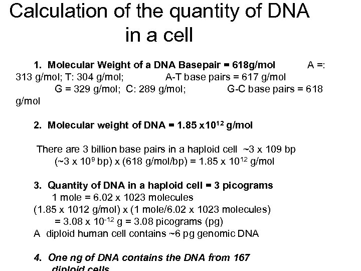 Calculation of the quantity of DNA in a cell 1. Molecular Weight of a