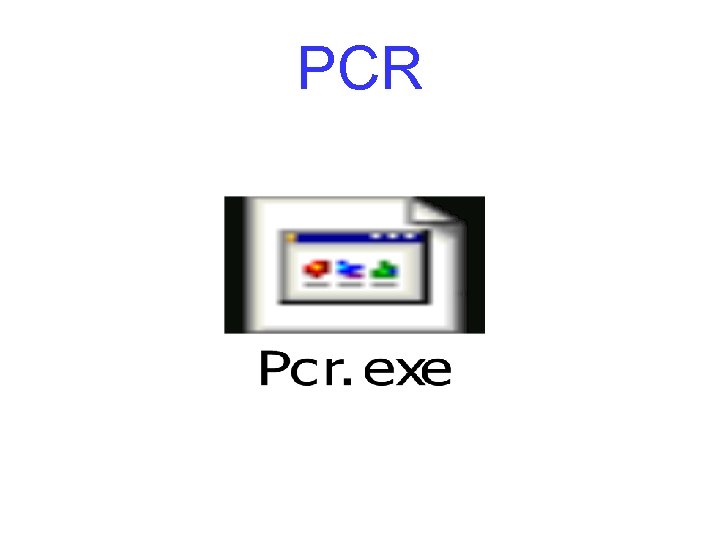 PCR 