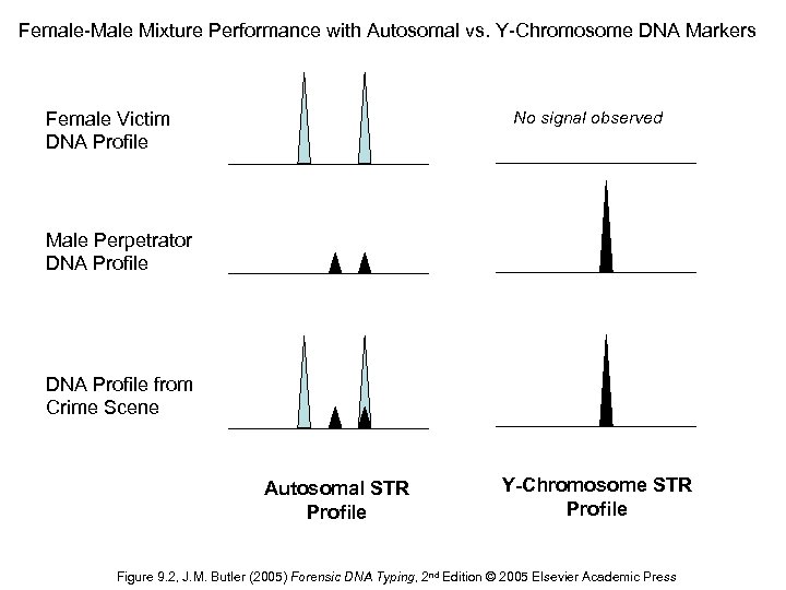 Female-Male Mixture Performance with Autosomal vs. Y-Chromosome DNA Markers No signal observed Female Victim