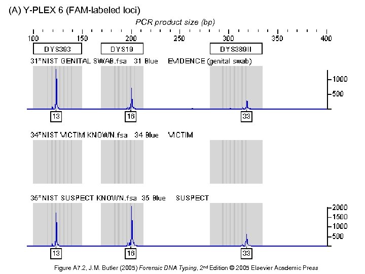 (A) Y-PLEX 6 (FAM-labeled loci) PCR product size (bp) Figure A 7. 2, J.