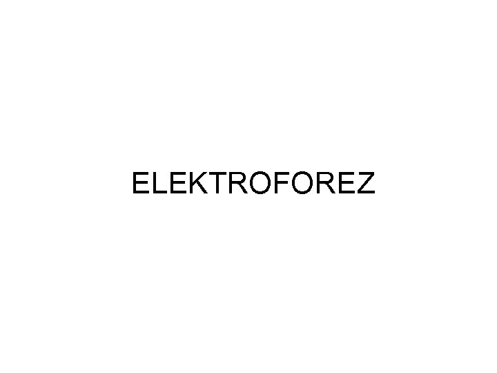 ELEKTROFOREZ 