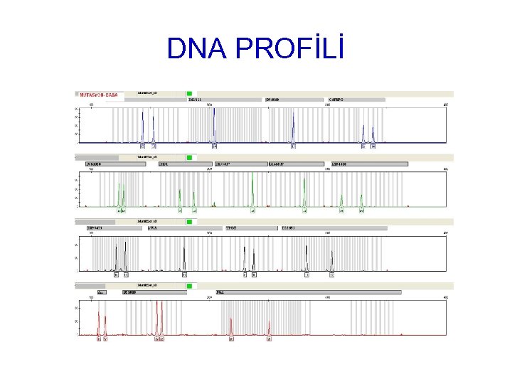 DNA PROFİLİ 