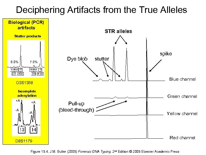 Deciphering Artifacts from the True Alleles Biological (PCR) artifacts STR alleles Stutter products 6.
