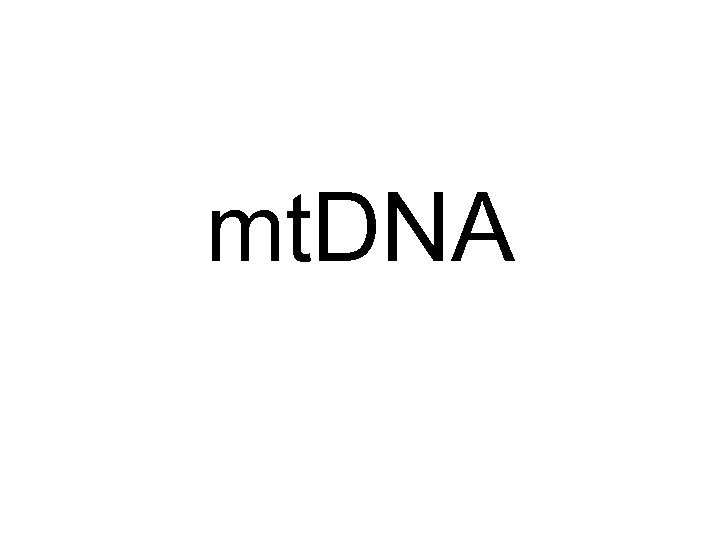 mt. DNA 