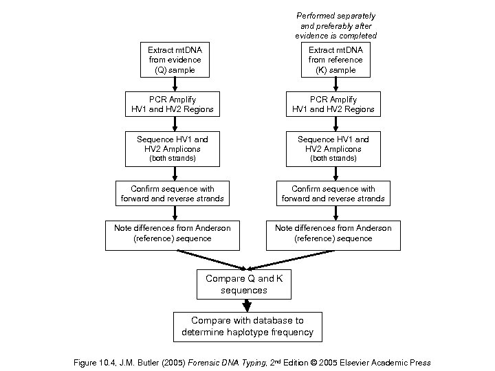 Performed separately and preferably after evidence is completed Extract mt. DNA from evidence (Q)