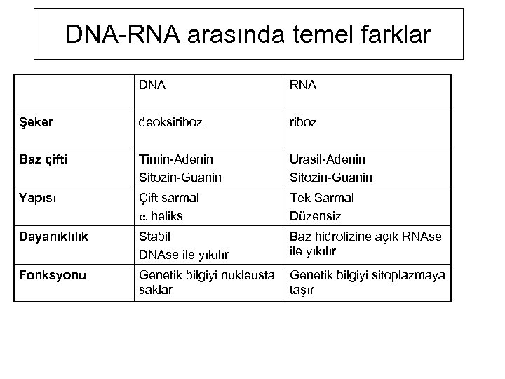DNA-RNA arasında temel farklar DNA RNA Şeker deoksiriboz Baz çifti Timin-Adenin Sitozin-Guanin Urasil-Adenin Sitozin-Guanin
