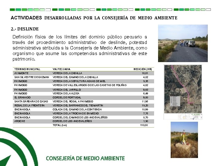 ACTIVIDADES DESARROLLADAS POR LA CONSEJERÍA DE MEDIO AMBIENTE 2. - DESLINDE Definición física de