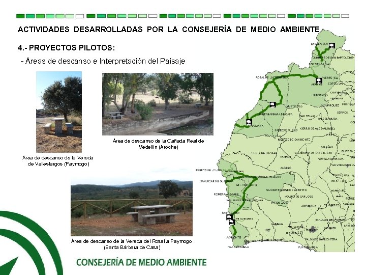ACTIVIDADES DESARROLLADAS POR LA CONSEJERÍA DE MEDIO AMBIENTE 4. - PROYECTOS PILOTOS: - Áreas