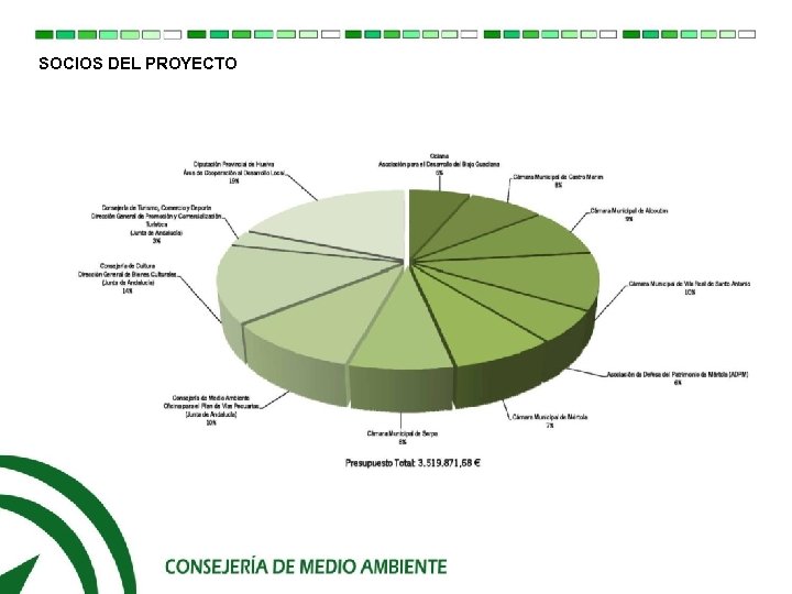 SOCIOS DEL PROYECTO 