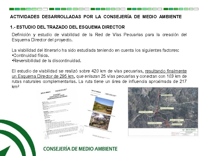 ACTIVIDADES DESARROLLADAS POR LA CONSEJERÍA DE MEDIO AMBIENTE 1. - ESTUDIO DEL TRAZADO DEL
