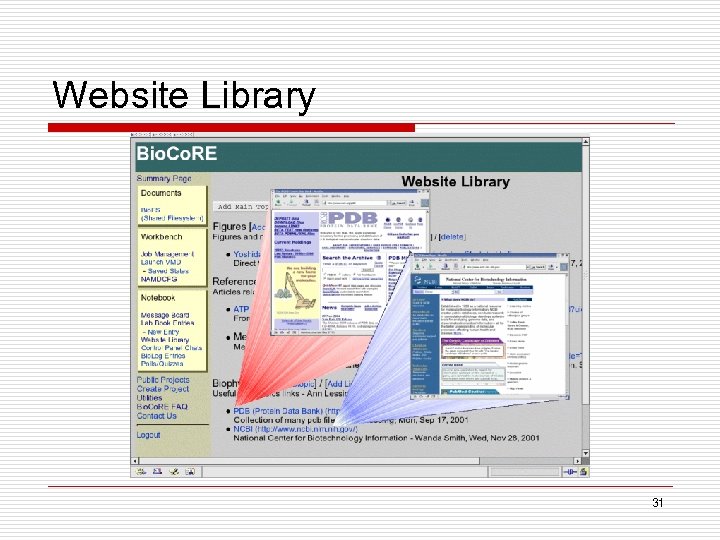 Website Library 31 