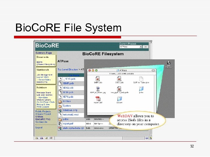 Bio. Co. RE File System 32 