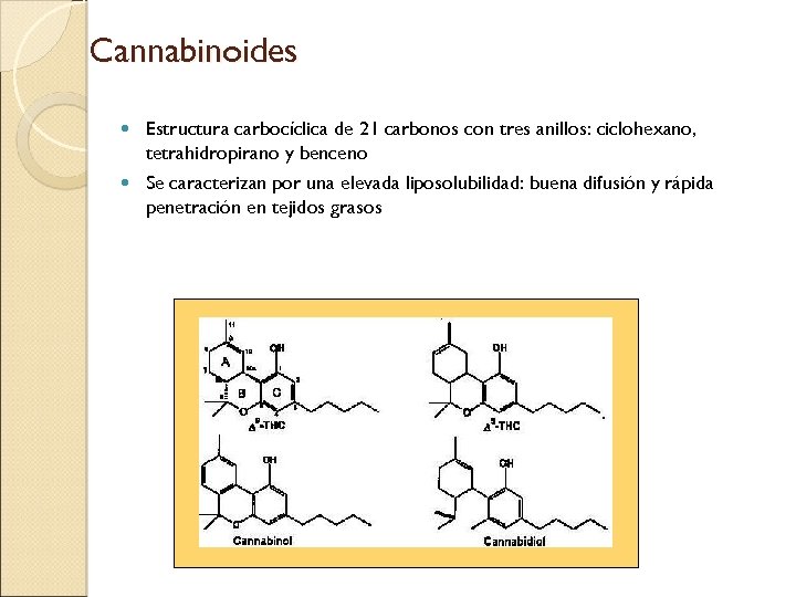 Cannabinoides Estructura carbocíclica de 21 carbonos con tres anillos: ciclohexano, tetrahidropirano y benceno Se