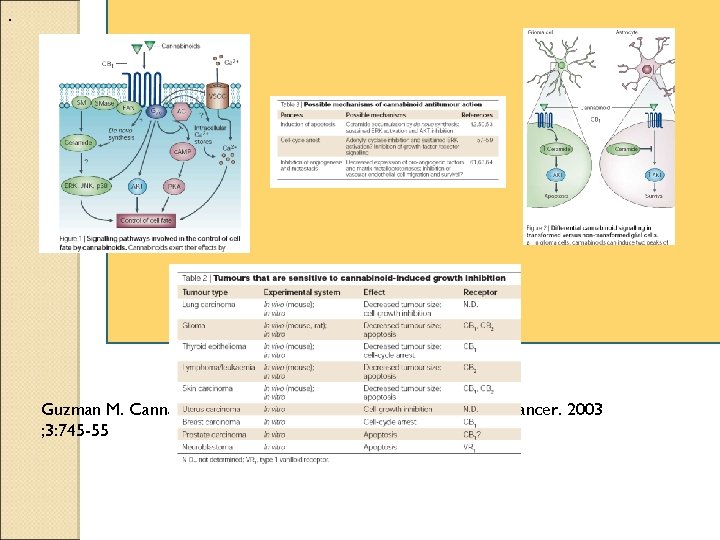 . Guzman M. Cannabinoids: potential anticancer agents. Nat Rev Cancer. 2003 ; 3: 745
