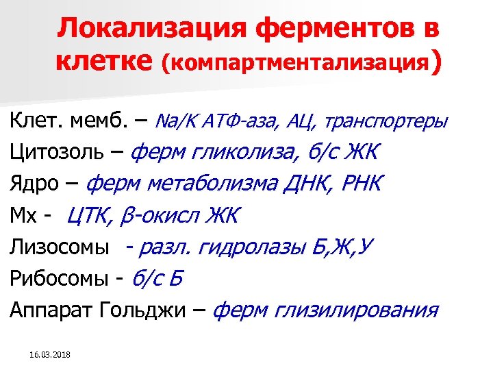 Локализация ферментов в клетке (компартментализация) Клет. мемб. – Na/K АТФ-аза, АЦ, транспортеры Цитозоль –