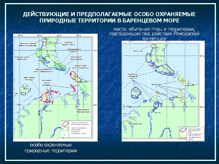 ДЕЙСТВУЮЩИЕ И ПРЕДПОЛАГАЕМЫЕ ОСОБО ОХРАНЯЕМЫЕ ПРИРОДНЫЕ ТЕРРИТОРИИ В БАРЕНЦЕВОМ МОРЕ места обитания птиц и