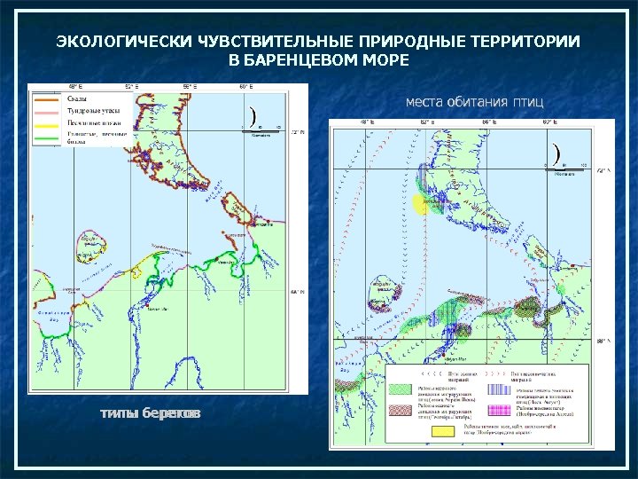 ЭКОЛОГИЧЕСКИ ЧУВСТВИТЕЛЬНЫЕ ПРИРОДНЫЕ ТЕРРИТОРИИ В БАРЕНЦЕВОМ МОРЕ места обитания птиц типы берегов 