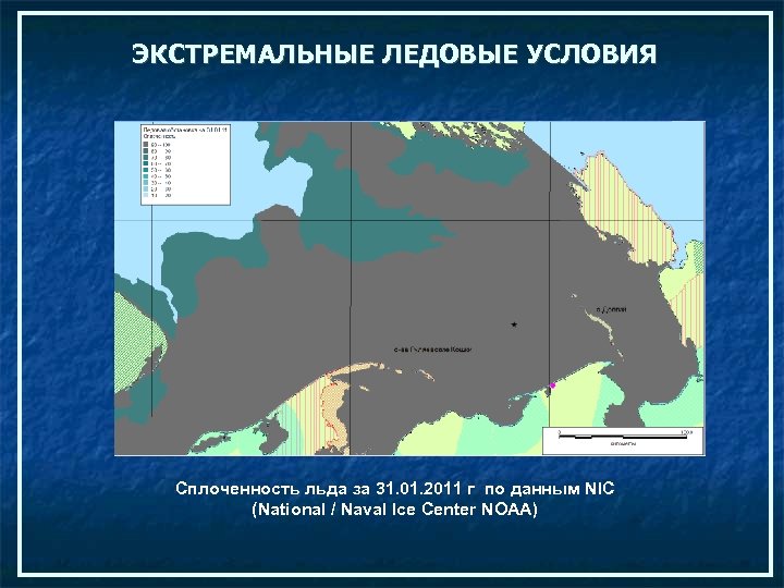 ЭКСТРЕМАЛЬНЫЕ ЛЕДОВЫЕ УСЛОВИЯ Сплоченность льда за 31. 01. 2011 г по данным NIC (National